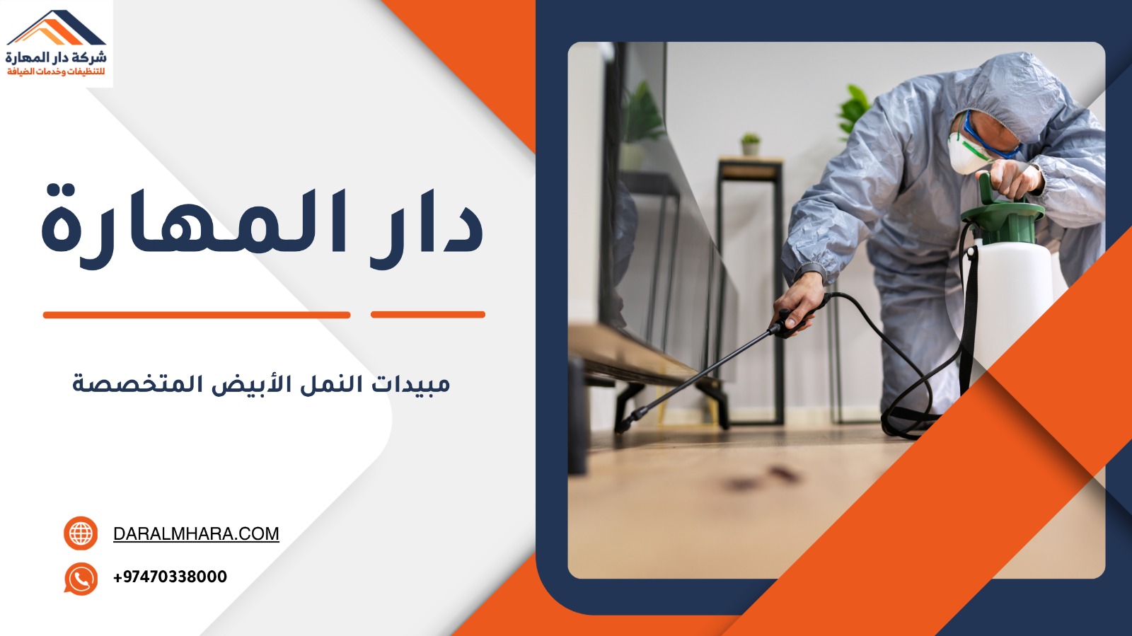 صورة مقال: مبيدات النمل الأبيض المتخصصة - شركة دار المهارة