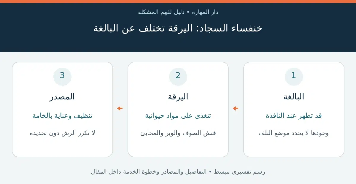 خنفساء السجاد — خنفساء السجاد: اليرقة تختلف عن البالغة