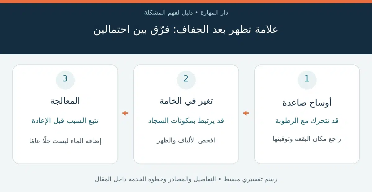 بقع بنية في السجاد — علامة تظهر بعد الجفاف: فرّق بين احتمالين