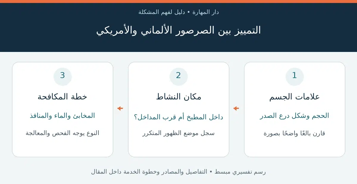 الصرصور الألماني — التمييز بين الصرصور الألماني والأمريكي