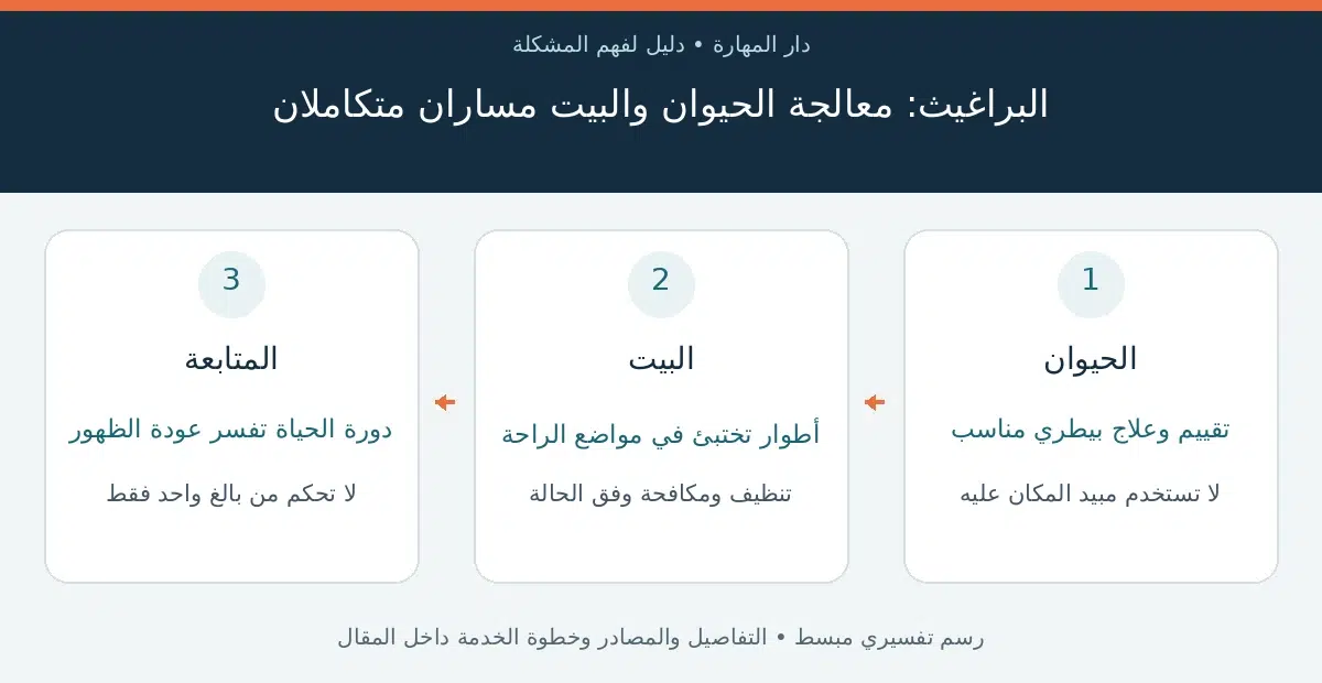 البراغيث — البراغيث: معالجة الحيوان والبيت مساران متكاملان
