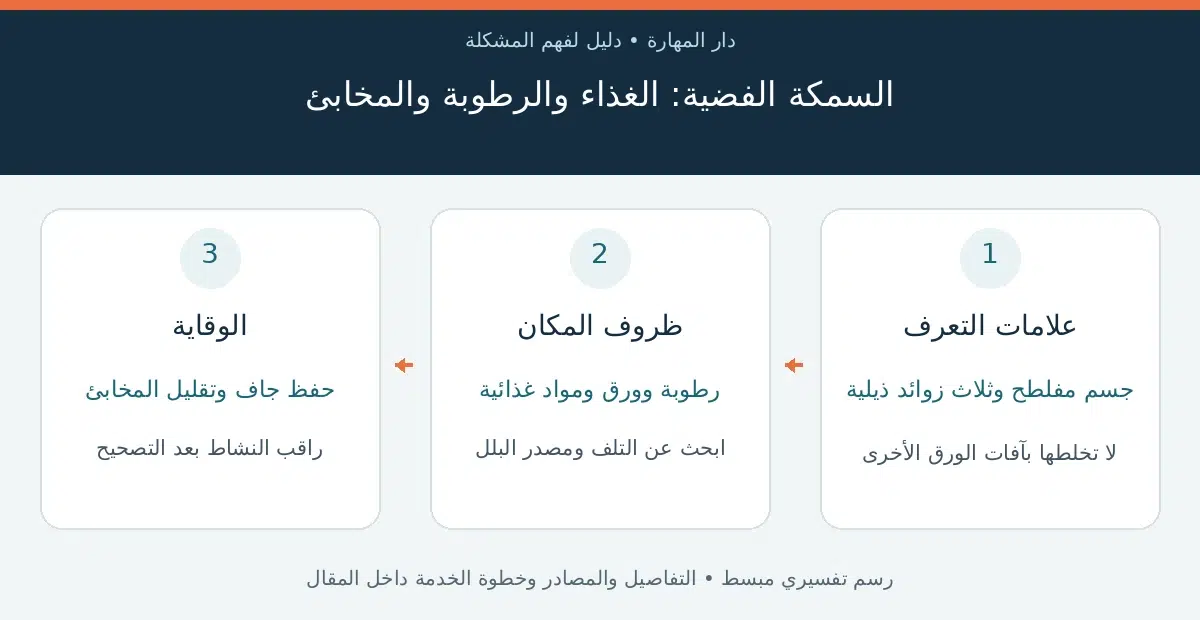 السمكة الفضية — السمكة الفضية: الغذاء والرطوبة والمخابئ